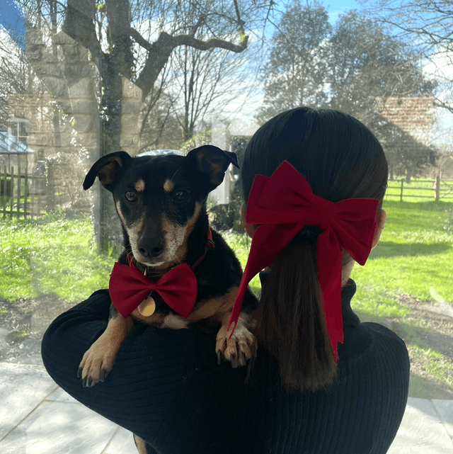 Puppy Bow